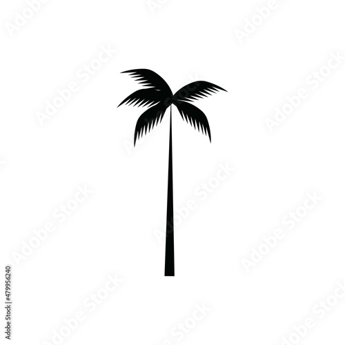 coconut tree icon vector illustration © Achmad99