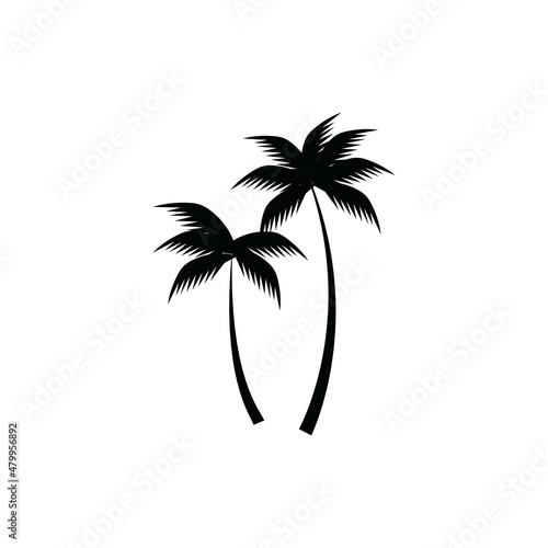 coconut tree icon vector illustration