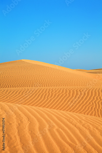 Dunes landscape, Maspalomas, Gran Canaria, Canary Islands, Spain.