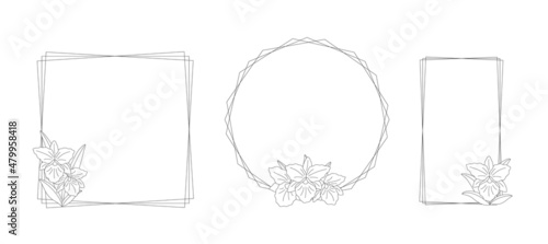 Three different linear frames with orchid flowers (Rhynchosophrocattleya) on a white background. Set of simple elegant frames for your design. Vector line art illustration.