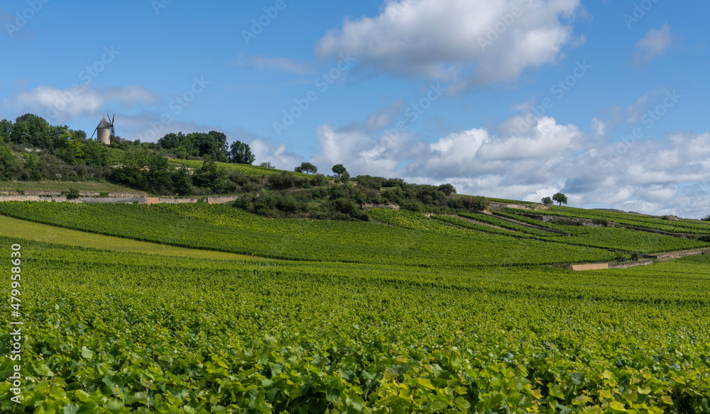 Santenay Vineyards Burgundy with Mill