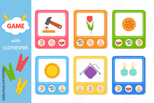 Educational game for children with clothespins. Five senses matching game for kids. Sight, touch, hearing, smell and taste. Vector illustration. Printing sheet for games