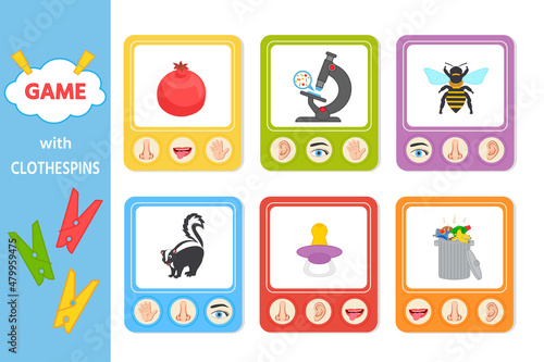 Educational game for children with clothespins. Five senses matching game for kids. Sight, touch, hearing, smell and taste. Vector illustration