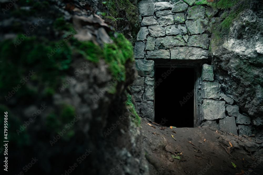 A dark door in a stone wall in the middle of nature. the wall looks like an old temple, from another era. Concept of travel, adventure, discovery, ruins.