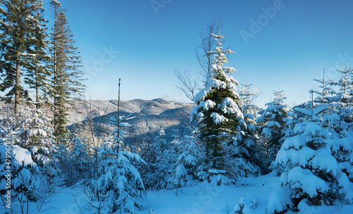 	amazing beautiful winter landscape, snow and trees