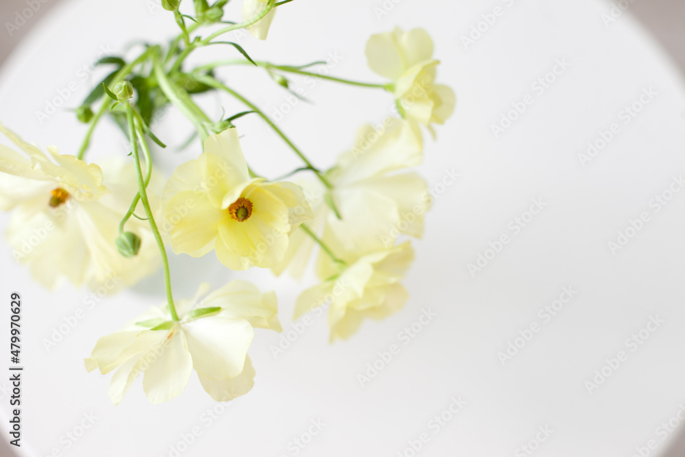 Obraz premium bouquet of pastel yellow flowers on white table