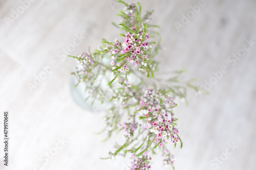 branch of lilac flowers in a vase on the floor