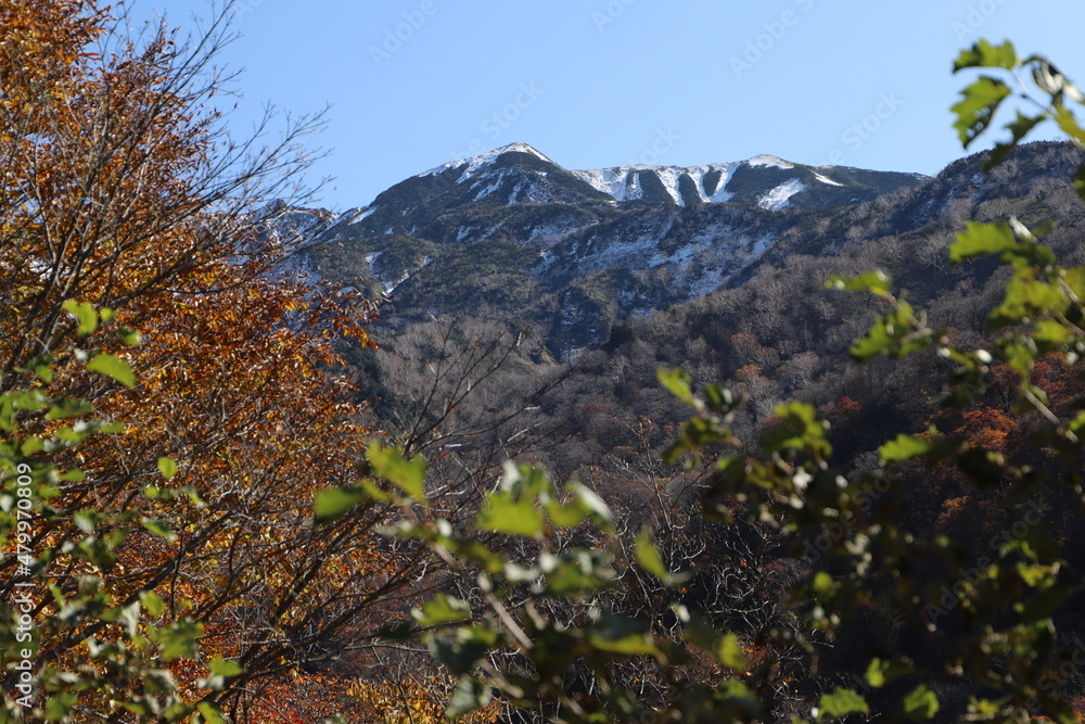 白山登山口・別当出合の紅葉と雪化粧の山並み（石川県白山市）