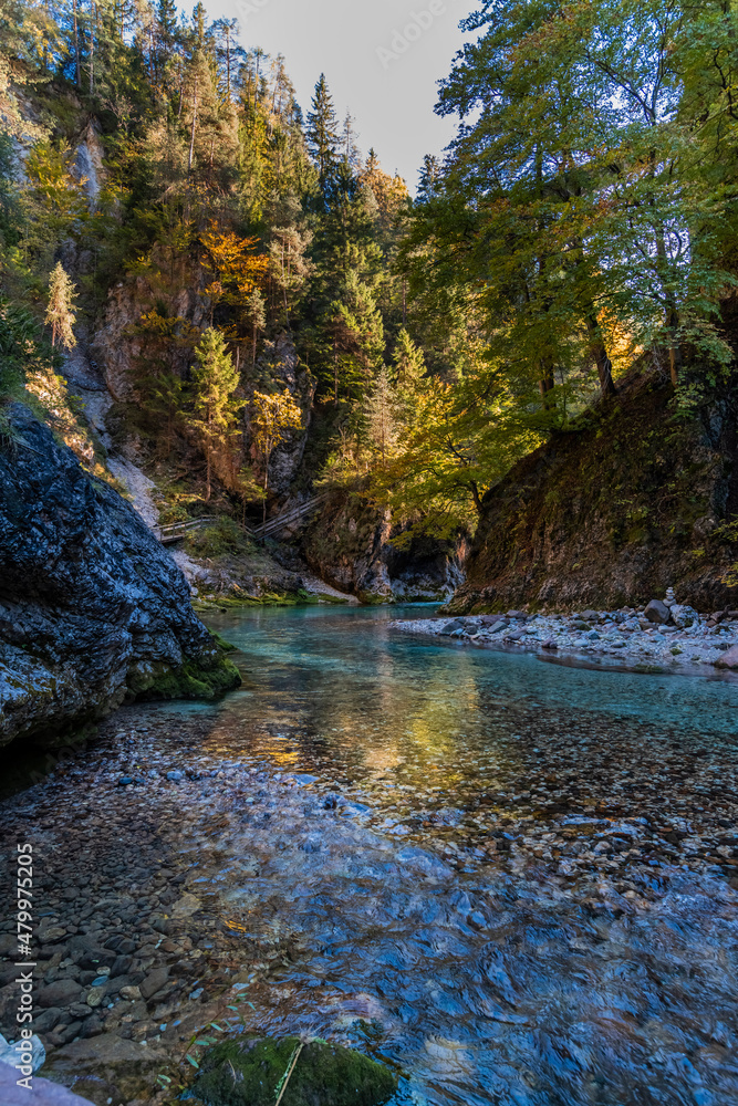 Autumn and colors of nature in the Tarvisio area. Orrido dello Slizza. Autumn and colors of nature in the Tarvisio area. Orrido dello Slizza.