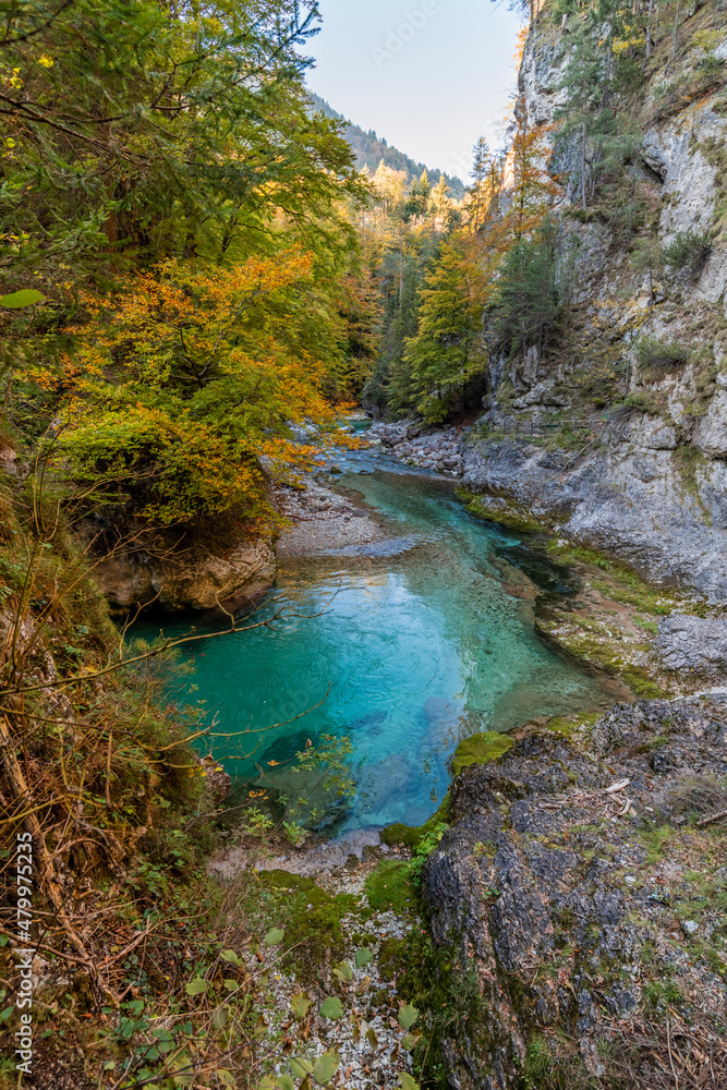 Autumn and colors of nature in the Tarvisio area. Orrido dello Slizza.