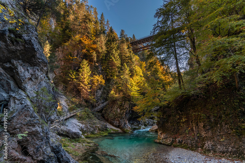 Autumn and colors of nature in the Tarvisio area. Orrido dello Slizza. © Nicola Simeoni