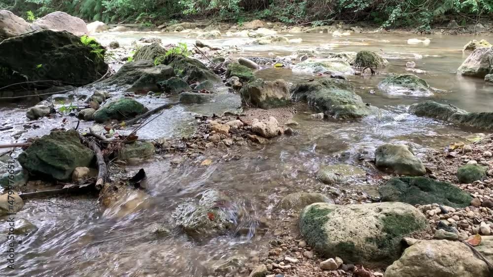 There are picturesque mountain rivers in the Dominican Republic. Forest grows along the banks and there are waterfalls There are picturesque mountain rivers in the Dominican Republic. Forest grows along the banks and there are waterfalls
