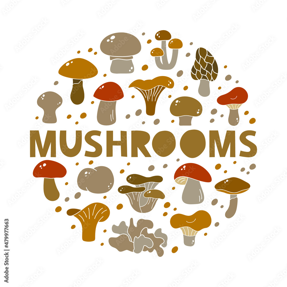Autumn mushrooms, brown round illustration. Color silhouette elements with hand drawn text. Champignon, chanterelle, boletus, porcini, russula. Contour vector icons on white background Autumn mushrooms, brown round illustration. Color silhouette elements with hand drawn text. Champignon, chanterelle, boletus, porcini, russula. Contour vector icons on white background
