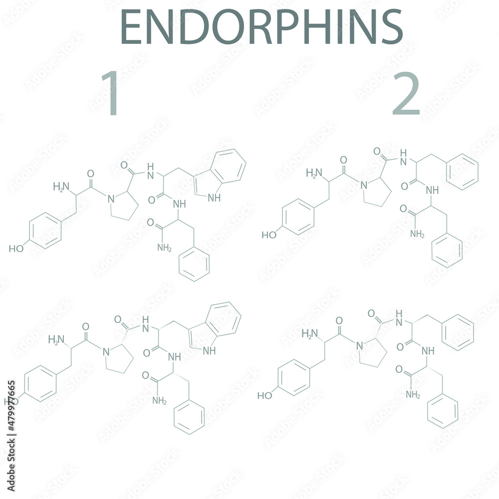 Endorphins molecular skeletal chemical formula.