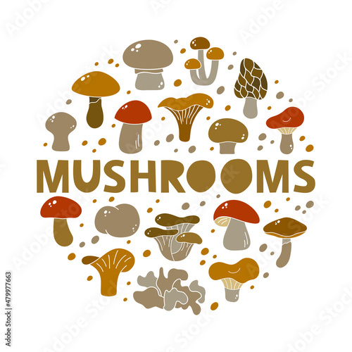 Autumn mushrooms, brown round illustration. Color silhouette elements with hand drawn text. Champignon, chanterelle, boletus, porcini, russula. Contour vector icons on white background