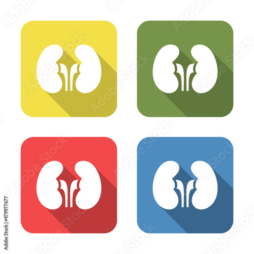 Kidneys. Medical icon isolated on green, yellow, blue and red background. First aid. Healthcare, medical and pharmacy sign. Square button.