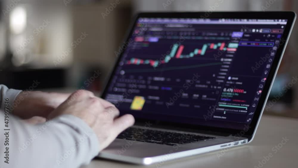 Working on investment on laptop. Financial concept