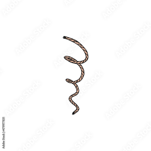 rope lasso vector doodle sketch isolated illustration.