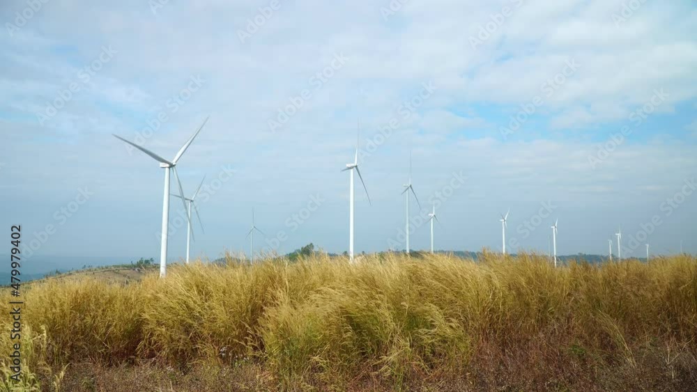 Wind farm for power generation in beautiful skies and swaying grass. Wind turbines produce clean renewable energy for sustainable development.
