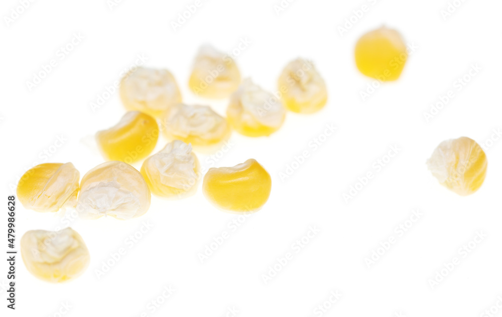 Dry grains of corn on a white background.