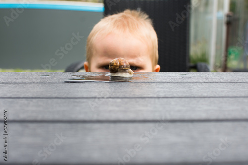 Wallpaper Mural Sweet little baby boy observe snail outside in the garden. Torontodigital.ca