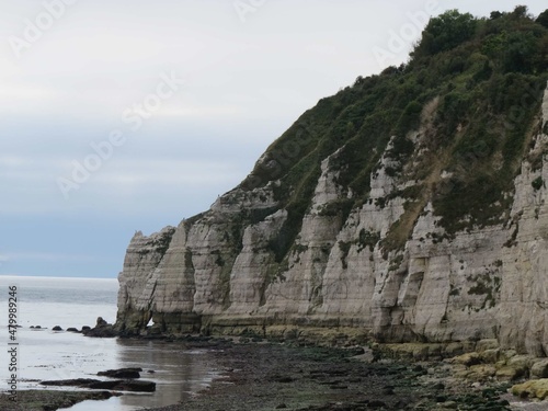 cliffs at Beer East Devon England along the Jurassic Coast 