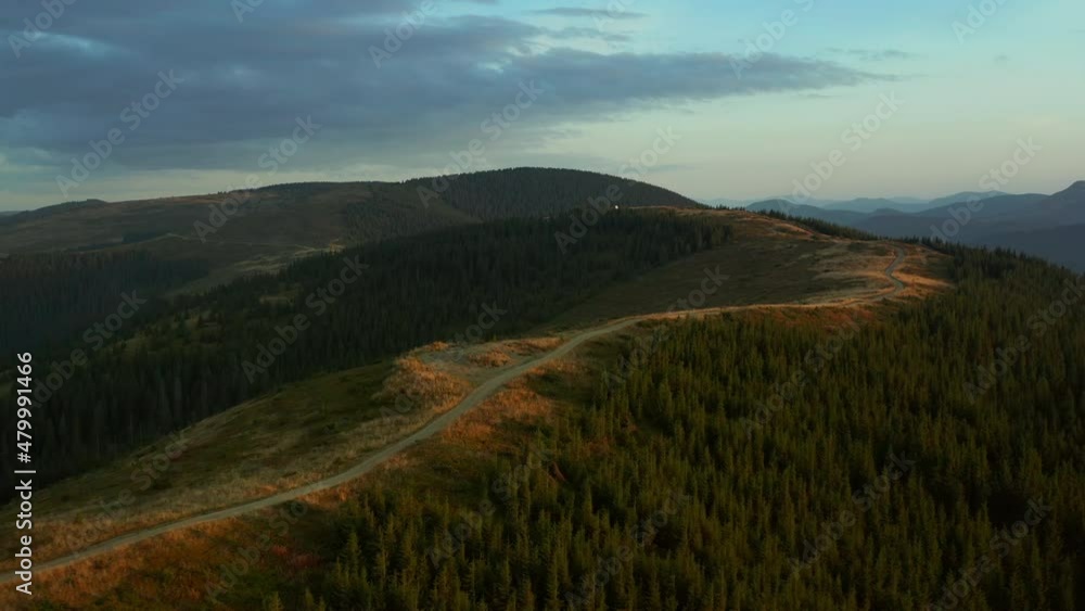 High hills path drone view among tranquil green sequoia trees growing mountains High hills path drone view among tranquil green sequoia trees growing mountains