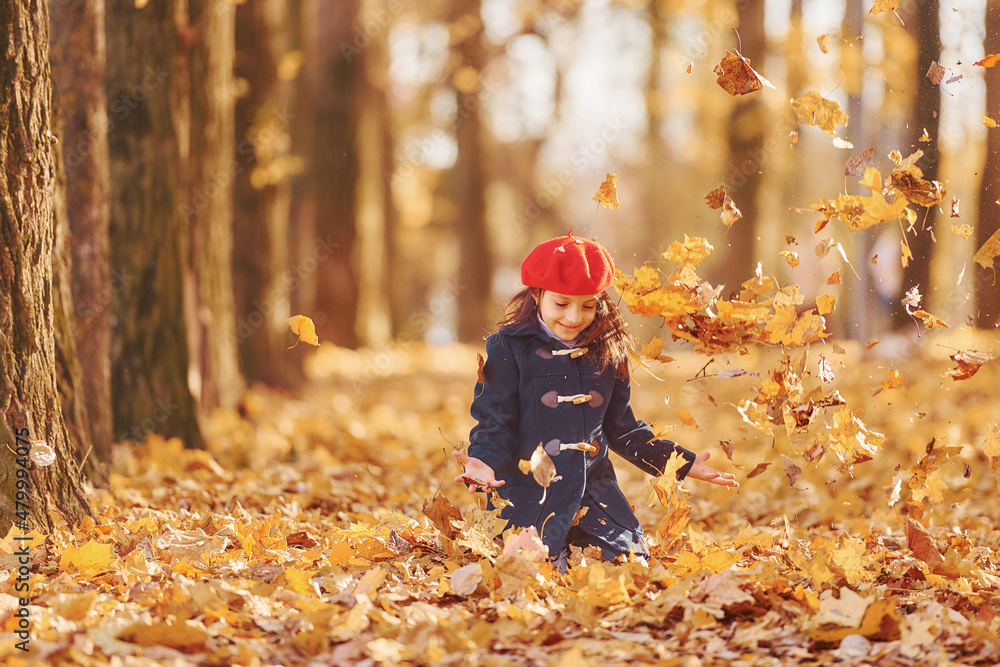 Throwing leaves into the air. Cute positive little girl have fun in the autumn park Throwing leaves into the air. Cute positive little girl have fun in the autumn park