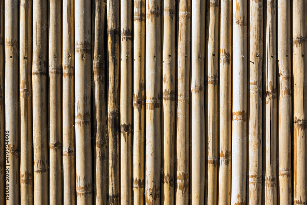 Fototapeta premium Old brown tone bamboo simple wall or Bamboo fence texture background for interior or exterior design vintage tone. Brown bamboo stick pattern backdrop. Local area urban house protection from thief.