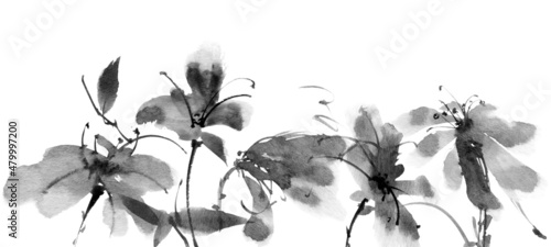 Fototapeta Naklejka Na Ścianę i Meble -  Floral ink painting