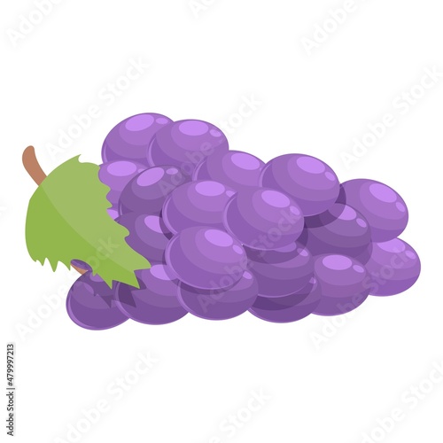 Red grapes icon cartoon vector. Taste summer. Holding woman