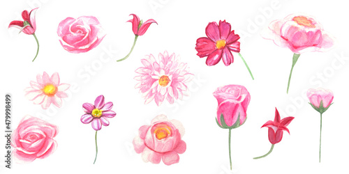 Set of watercolor flowers. Handpainted illustration of flowers isolated on a white background © Diasha Art