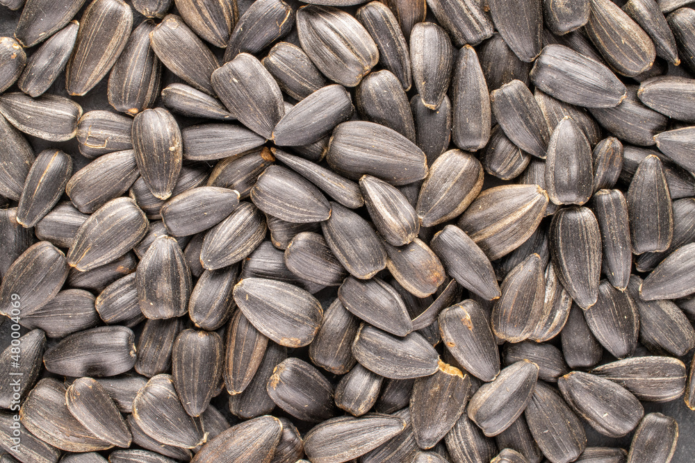 A lot of delicious sunflower seeds, close-up, top view. A lot of delicious sunflower seeds, close-up, top view.