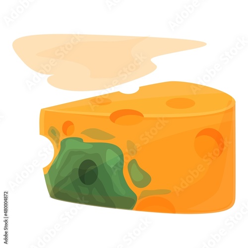 Contaminated cheese icon cartoon vector. Food bacteria. Virus dirty