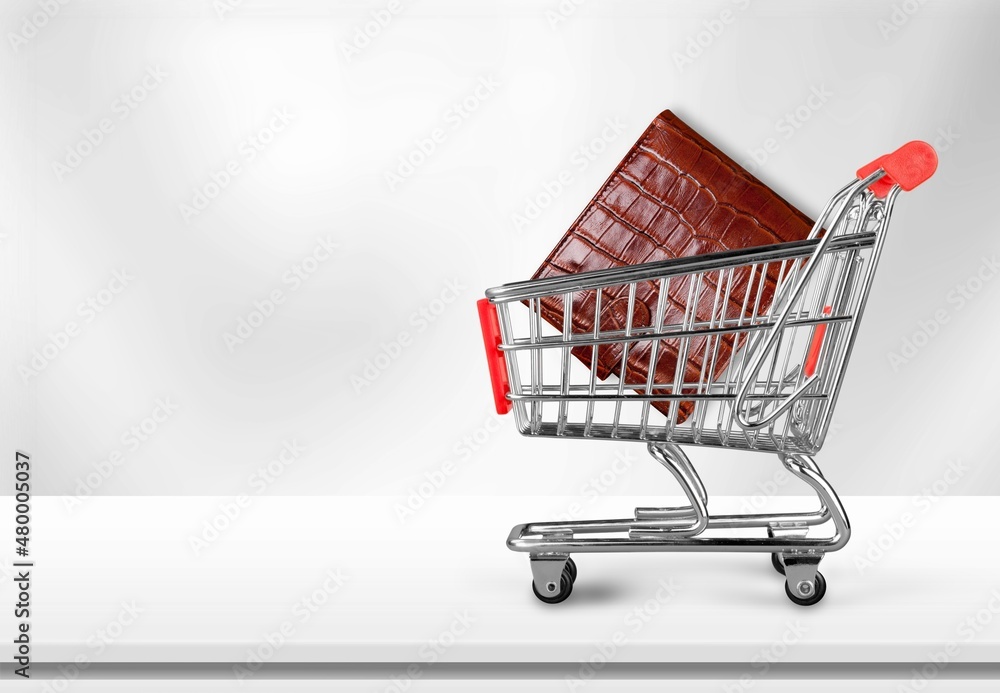 Metallic shopping cart trolley and Coin Purse. Shopping symbol
