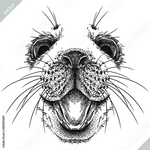black and white engrave isolated seal vector illustration