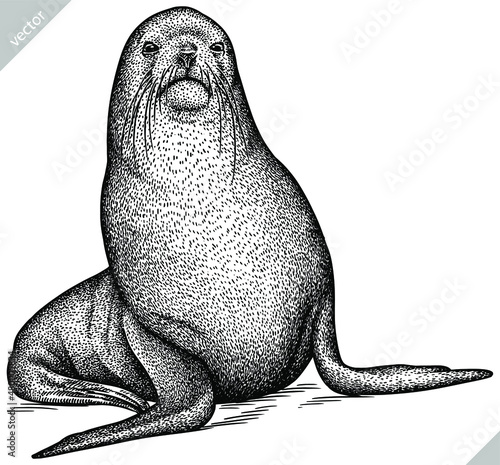 black and white engrave isolated seal vector illustration