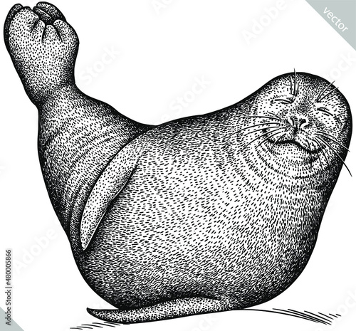 black and white engrave isolated seal vector illustration