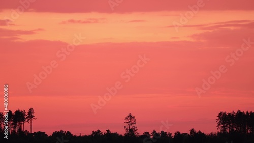 Beautiful Sunset Sky Above Forest. Lonely Pine Pines Tree In Backlit. Sunset Sky With Gently Clouds. Sunset Sky Natural Background. Sunset Time Lapse Time-Lapse In Yellow, Orange Colors. Day To © Grigory Bruev
