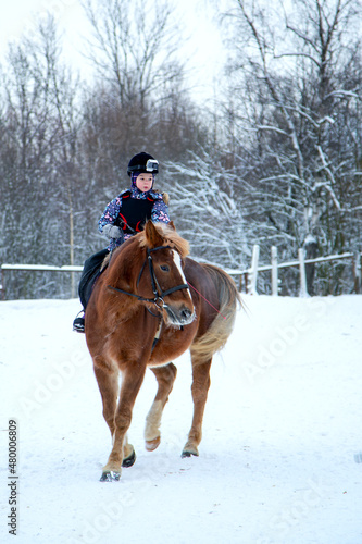 Girl with action camera on helmet rides on a red horse at winter. equestrian, dressage, western for children .
