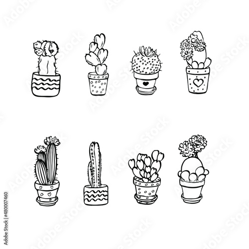 Hand-drawn succulents and cactus. Hand drawn set of different cactus