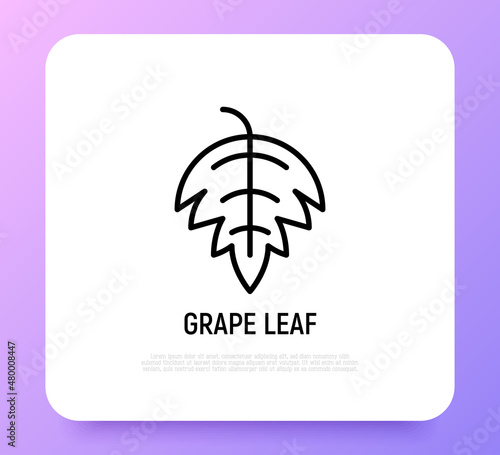 Grape leaf thin line icon. Modern vector illustration for wine logo.