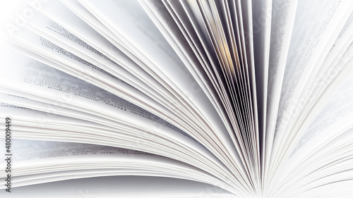 Open book macro photo. Close-up of new pages of the book. Education concept. Library book encyclopedia.