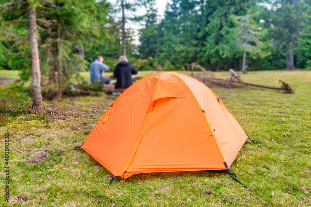 Orange tent camp in green forest