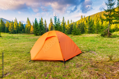 Orange tent camp in green forest