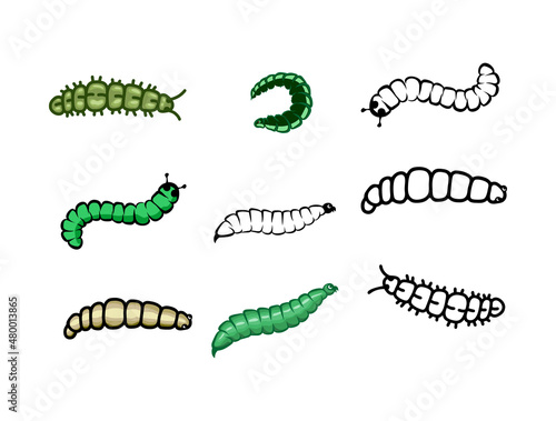 caterpillar, maggot and cocoon vector collections
