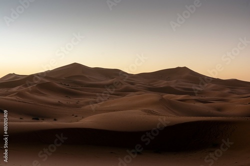 sand dunes in the desert © Janusz