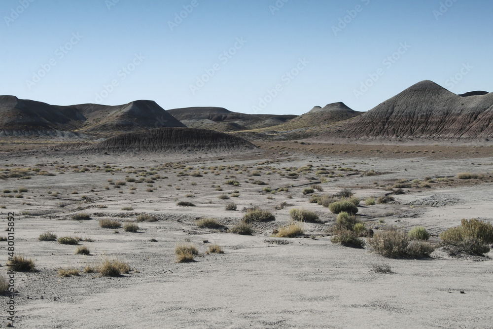 painted desert, shrubland