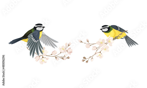 Tit bird flying towards blooming twigs at spring set cartoon vector illustration
