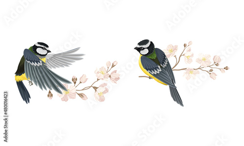 Small tit bird and blooming tree branch set. Symbol of spring cartoon vector illustration
